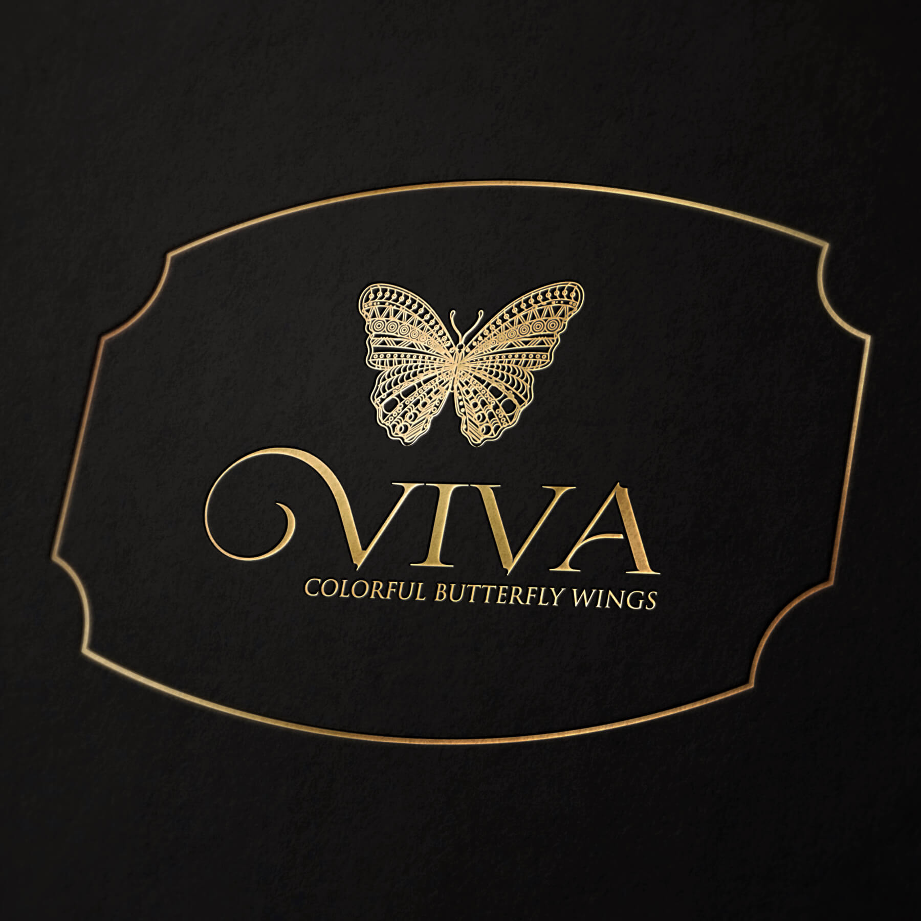 HOME MONKEY VILLA 5 รับออกแบบโลโก้ VIVA