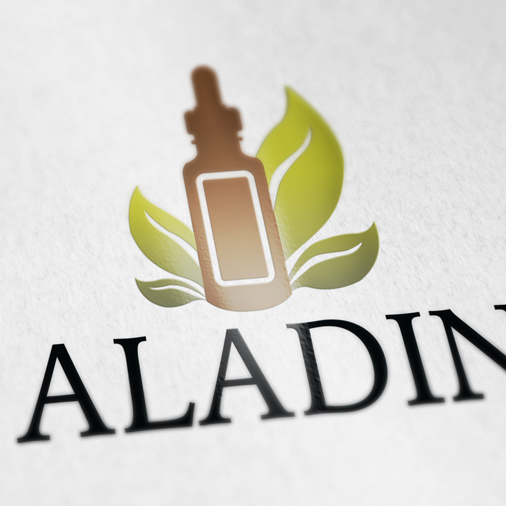 HOME MONKEY VILLA 5 รับออกแบบโลโก้ aladin