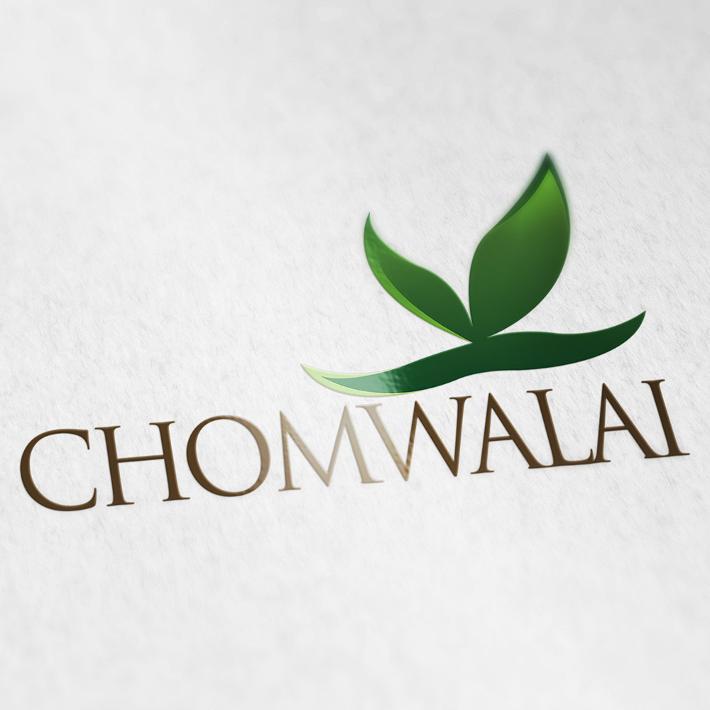 HOME MONKEY VILLA 7 รับออกแบบโลโก้ chomwalai